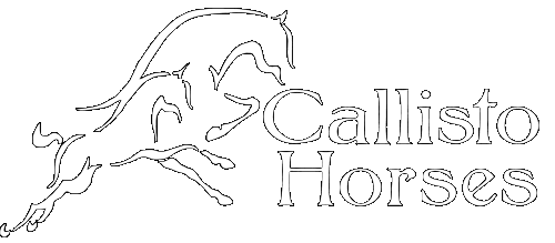 Callisto Horses