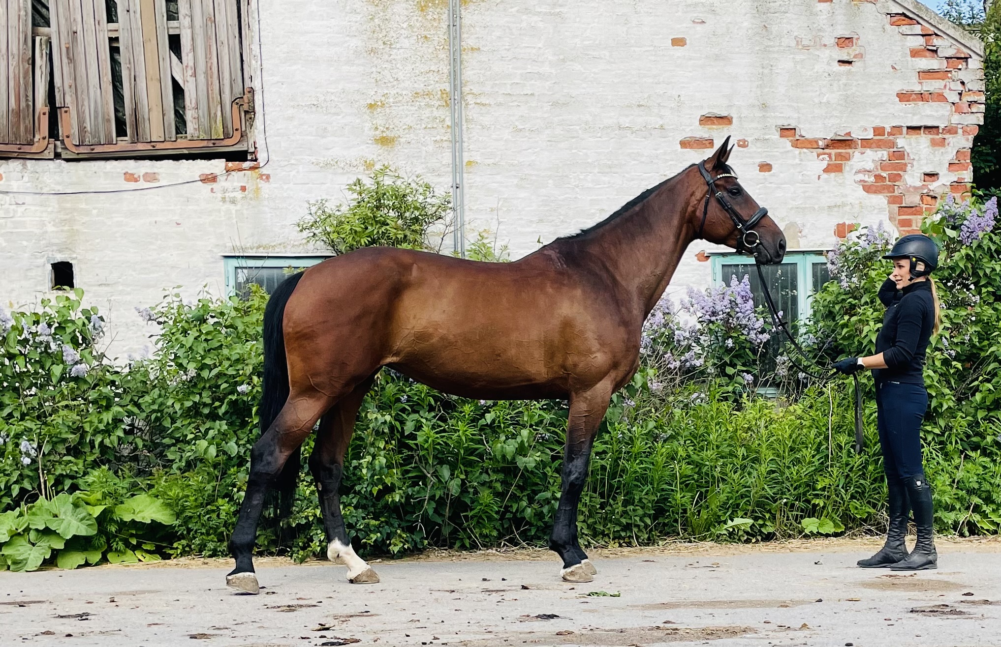 ST FANCY, 2019
