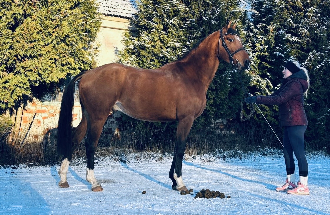 COMME PETITE FLAMME, 2022